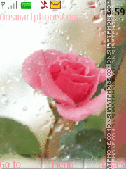 Capture d'écran Morning Rose thème
