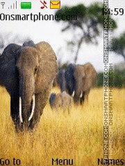 Capture d'écran Elephants in Savanna thème