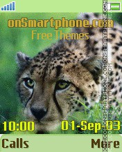 My cheetah theme screenshot