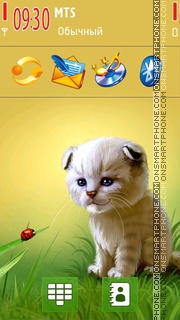 Ladybird and kitten theme screenshot