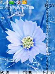 Blue flower es el tema de pantalla