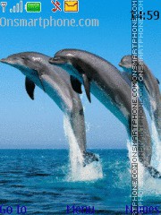 Dolphins Theme-Screenshot