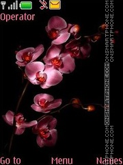 Orchids swf theme screenshot