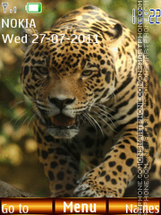 Capture d'écran Leopard 06 thème