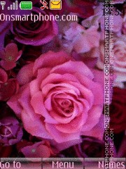 Pink Rose theme screenshot