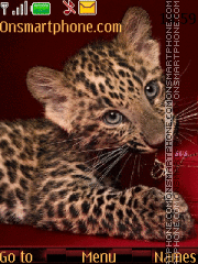 Скриншот темы Little Leopard Cub