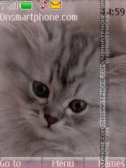Kitten Theme-Screenshot