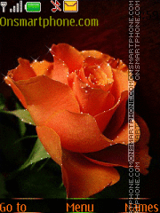 Capture d'écran Orange Rose thème