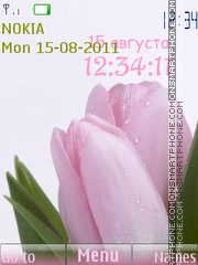 Pink Tulips tema screenshot