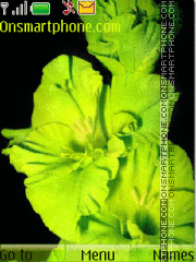 Green Flower theme screenshot