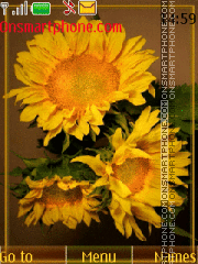 Sunflowers tema screenshot