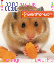 I Love Hamster es el tema de pantalla