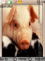 Capture d'écran Pig thème