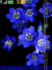 Dark blue flowers theme screenshot