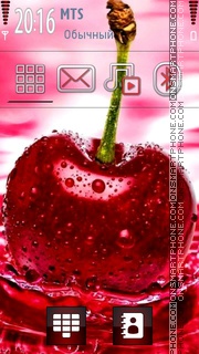 Capture d'écran Berry 01 thème