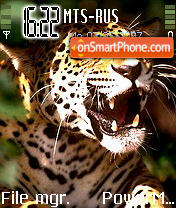 Tigra Daymon tema screenshot