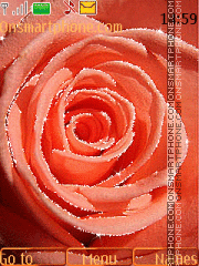 Capture d'écran Animated Rose thème