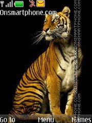 Tiger 46 Theme-Screenshot