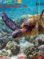 Ocean Turtle tema screenshot