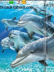 Capture d'écran Dolphins thème