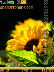 Animated Sunflower es el tema de pantalla