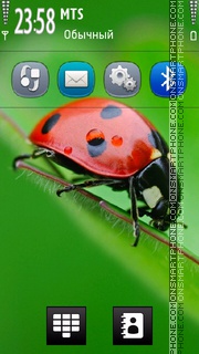 Скриншот темы Insect Symbian Anna