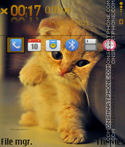 Capture d'écran Kitten 09 thème