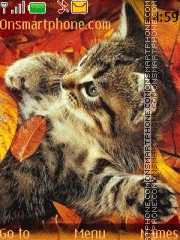 Скриншот темы Kitten in Autumn Leaves