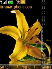 Скриншот темы Yellow Lily