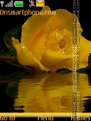 Скриншот темы Yellow Rose