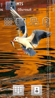 Bird 06 theme screenshot