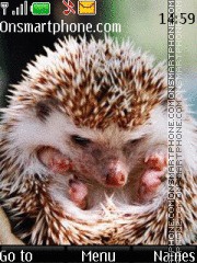 Hedgehog 05 es el tema de pantalla