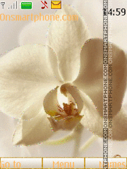Скриншот темы Orchids