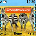 Cebras tema screenshot