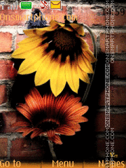 Скриншот темы Sunflowers
