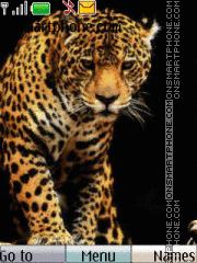 Sight Of A Leopard tema screenshot