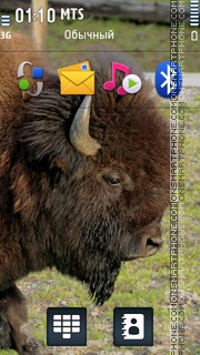 Buffalo tema screenshot