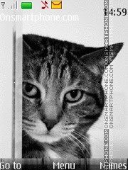 Cat With Symbian Anna Icons tema screenshot