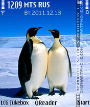 Penguins tema screenshot