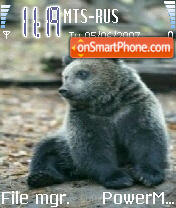 Medvedi theme screenshot