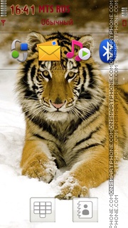 Tiger2 01 theme screenshot