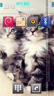 Kittens 01 tema screenshot