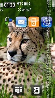 Скриншот темы Cheetah Beauty
