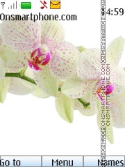 White Orchid 01 theme screenshot