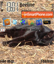 Black Pussy Cat theme screenshot