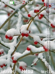 Winter Cold tema screenshot