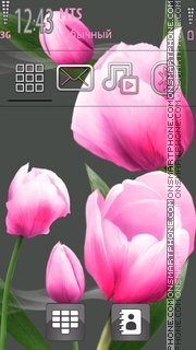 Tulips es el tema de pantalla