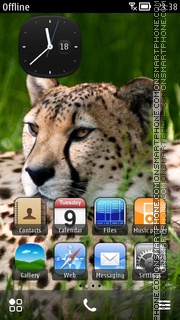 Cheetah Beauty 01 theme screenshot