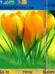 Orange Tulips 01 es el tema de pantalla