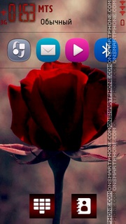 Red Rose 08 tema screenshot